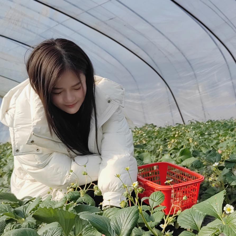 留。小娜