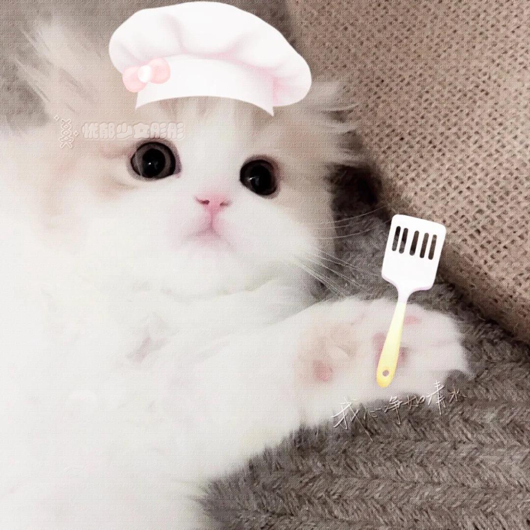 预言