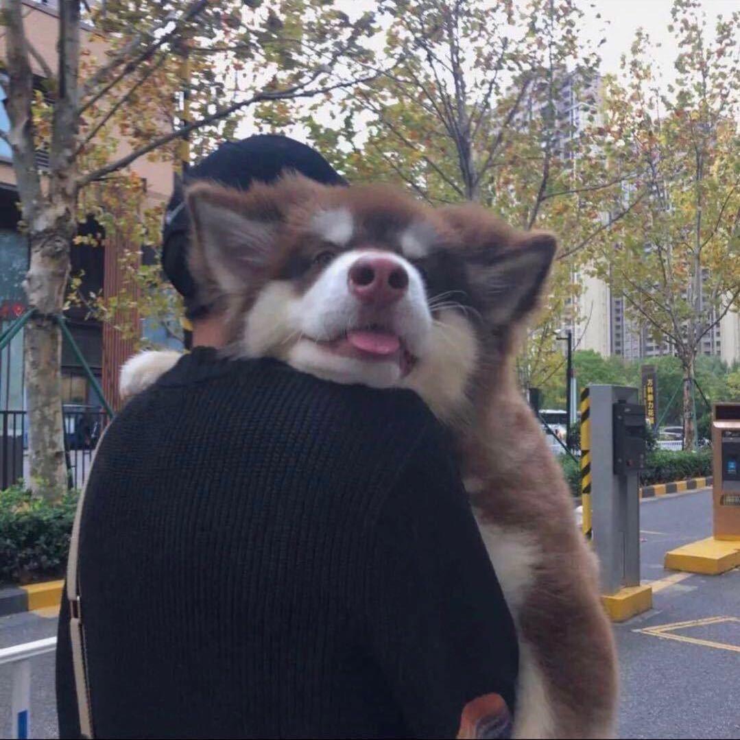 天选阿勇（考官）