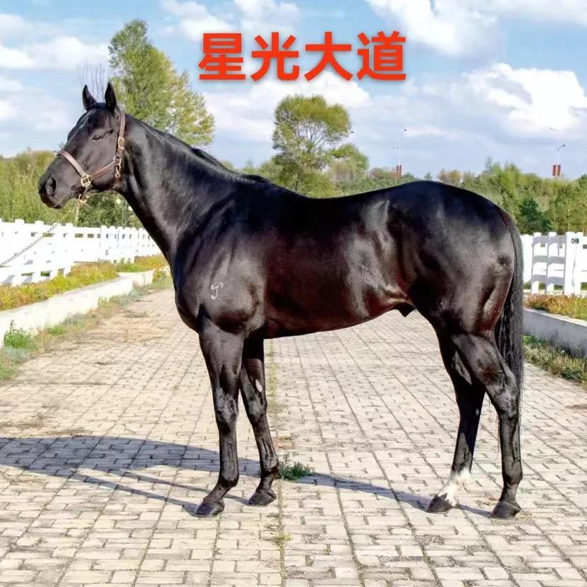 果冻甜