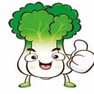 淮安白菜新能源