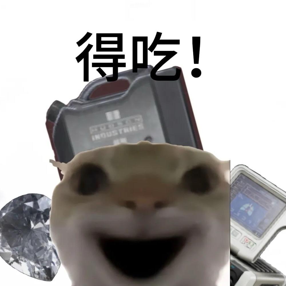 念念的主人