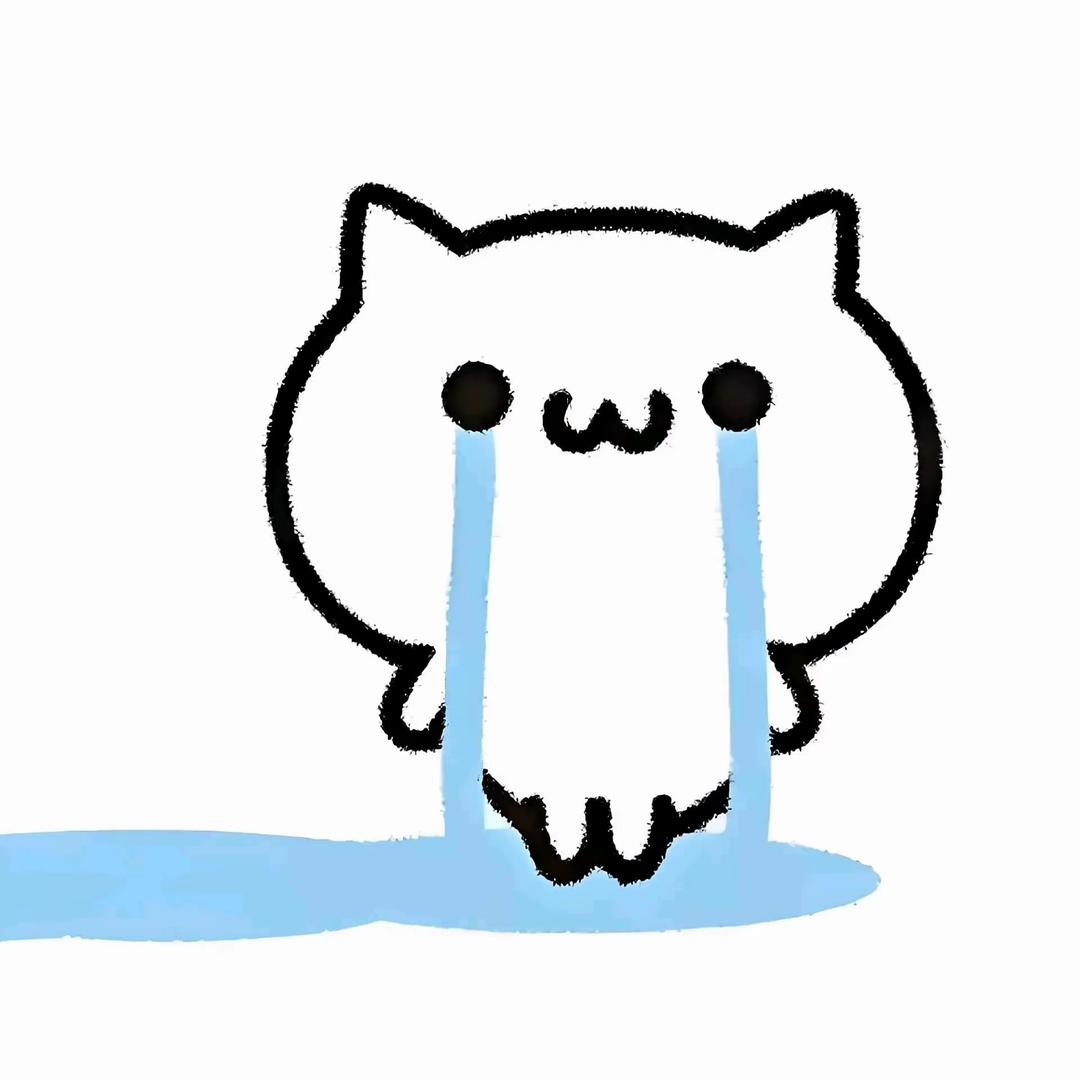 呆呆鱼