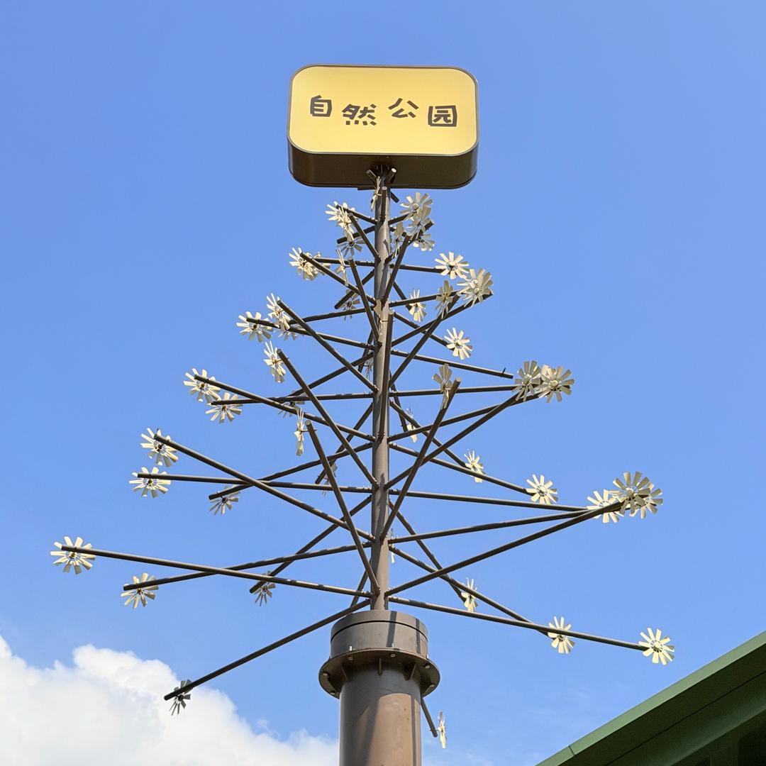 洞洞上的小恐龙