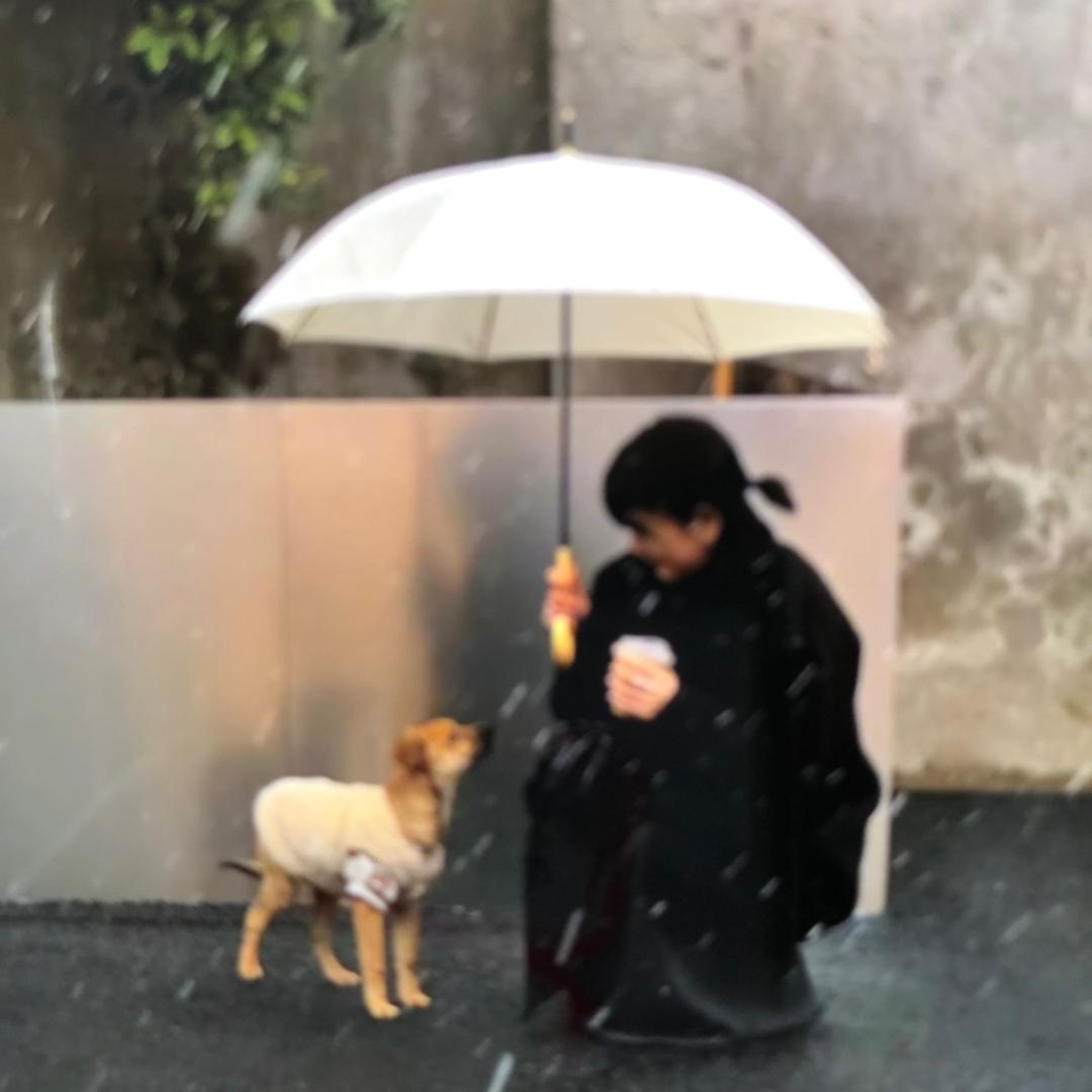 快乐小松鼠🐿️