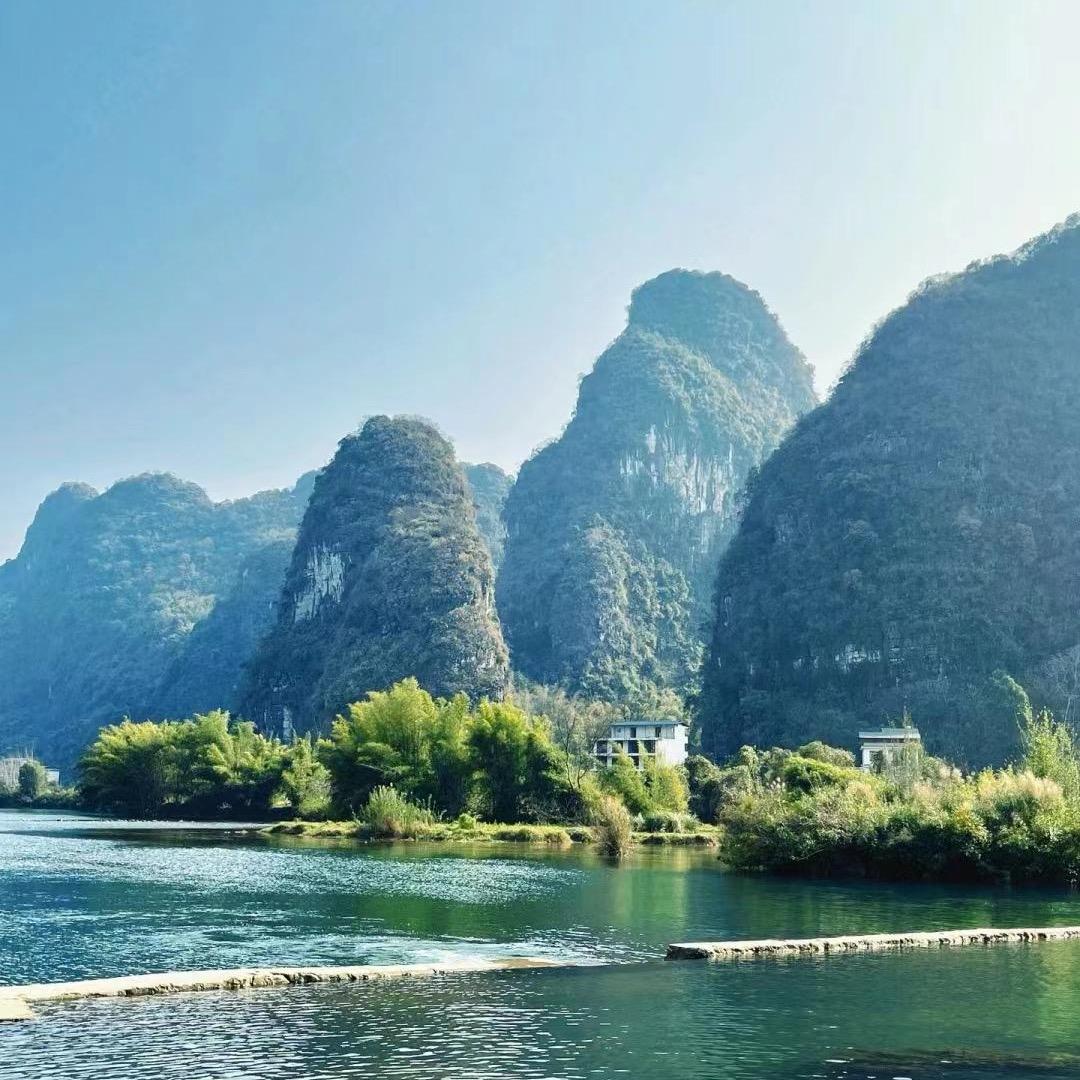 小柴胡