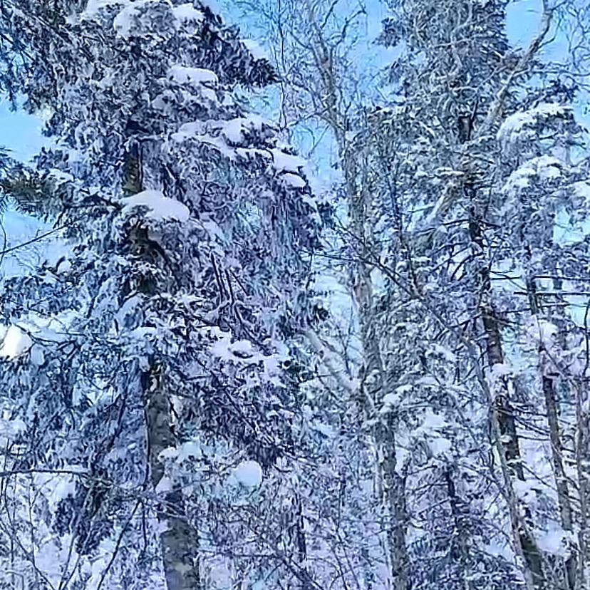 先斬后揍⁵²⁰