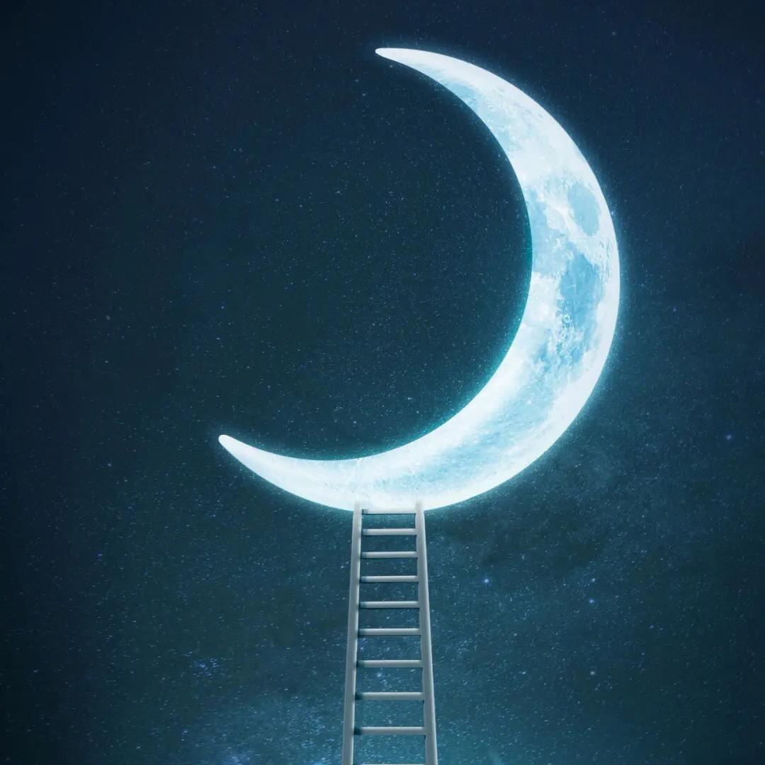 🌜月亮哥