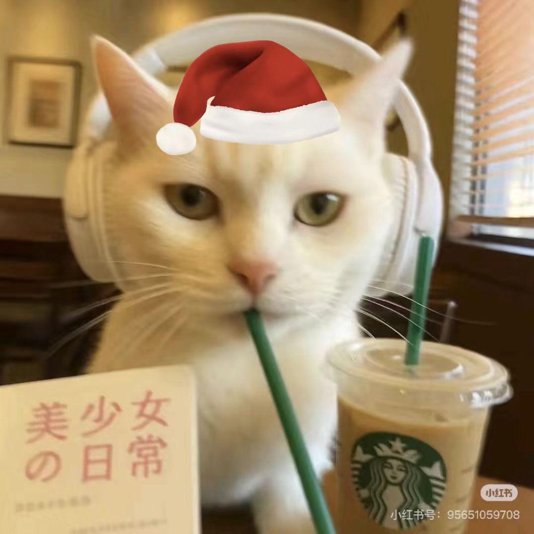 星星自己会落下