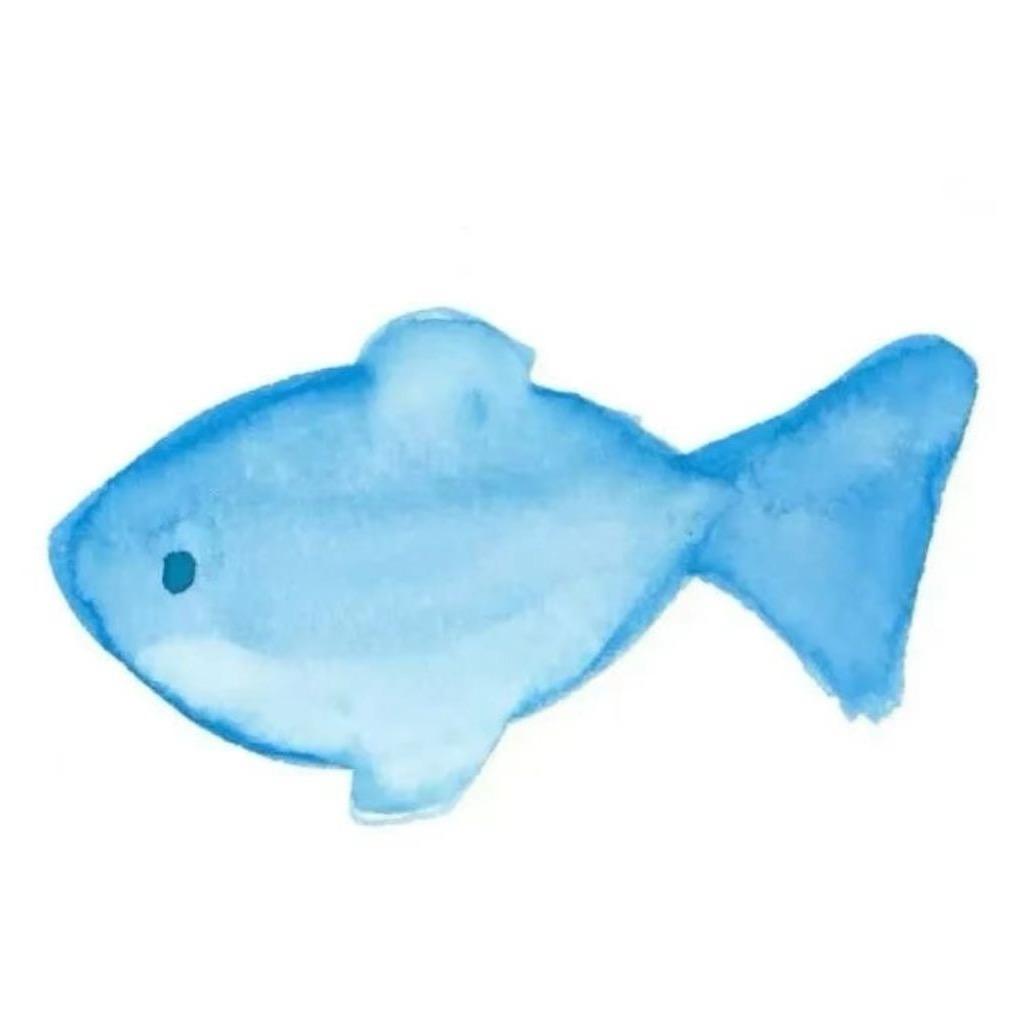 鱼鱼🐟