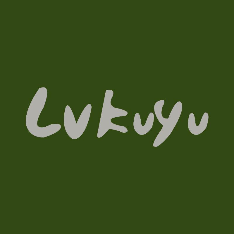 绿科优数码配件企业店