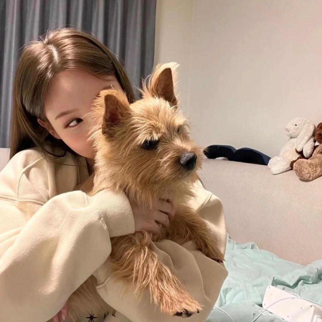 我不吃葱