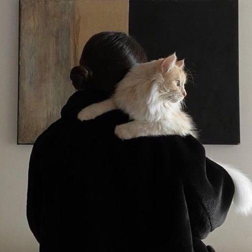 帝都喂猫人日记