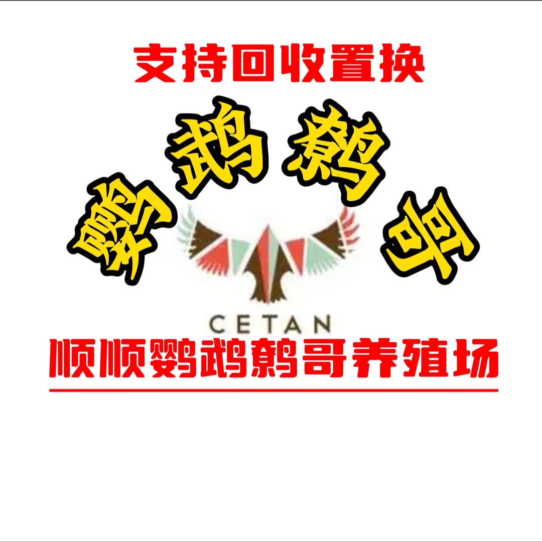 顺顺鹦鹉鹩哥八哥养殖场