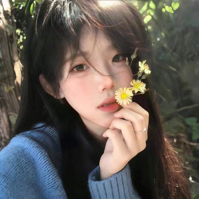软萌锦鲤