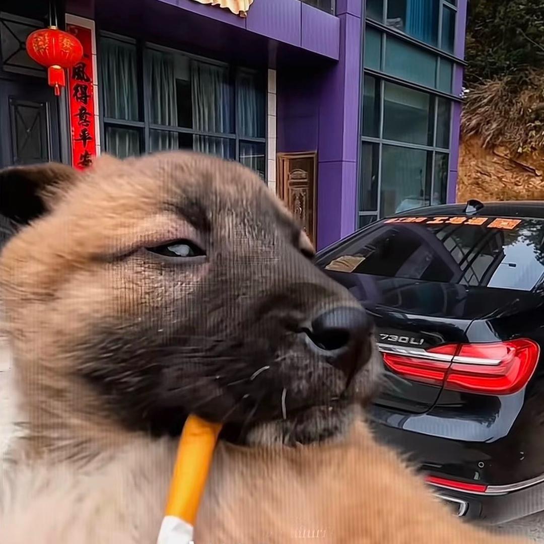 尝试相信大脑O.o