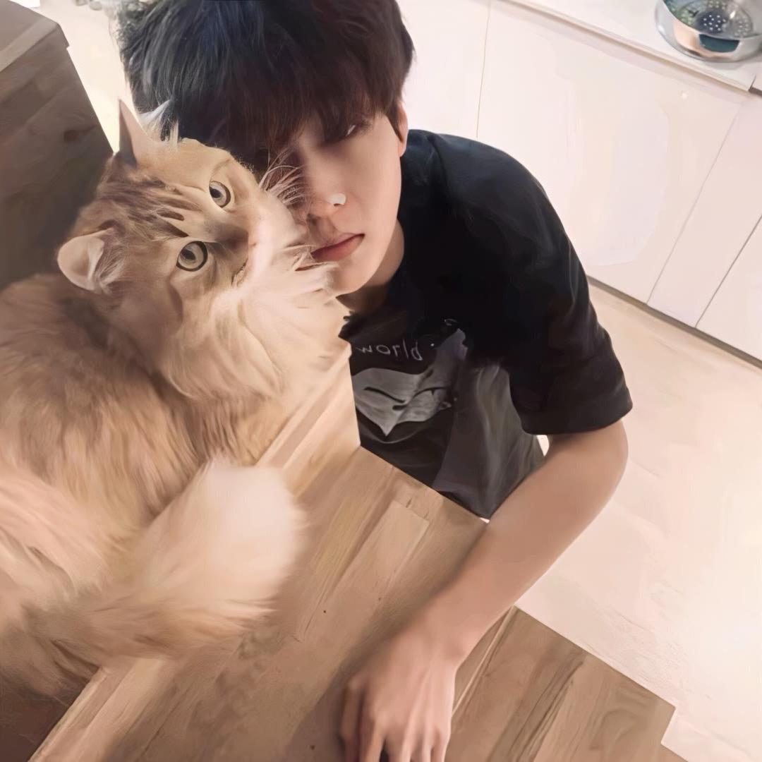 帅不能当饭吃所以被撑死