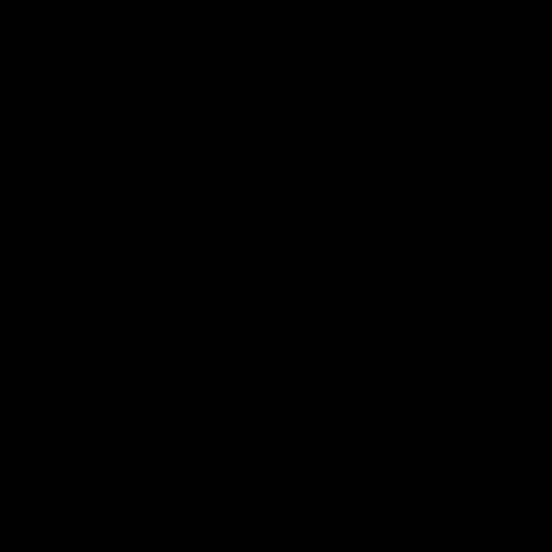 小条