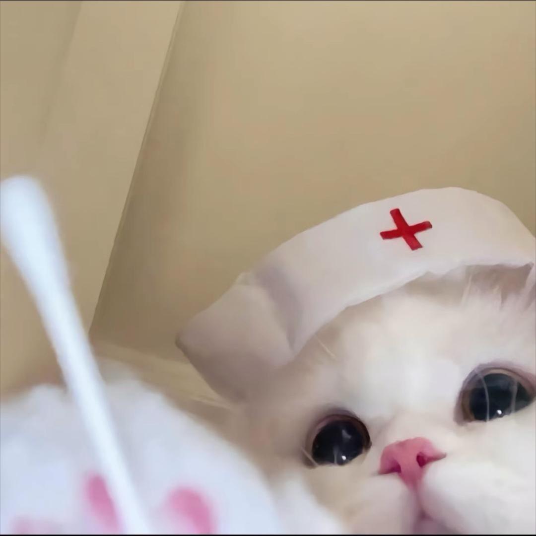 歪比