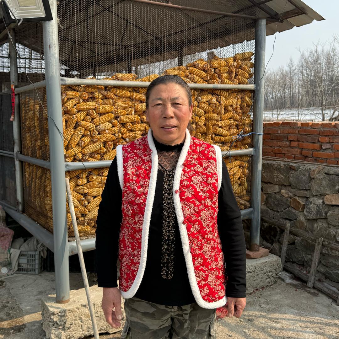 东北二婶（位淑华）