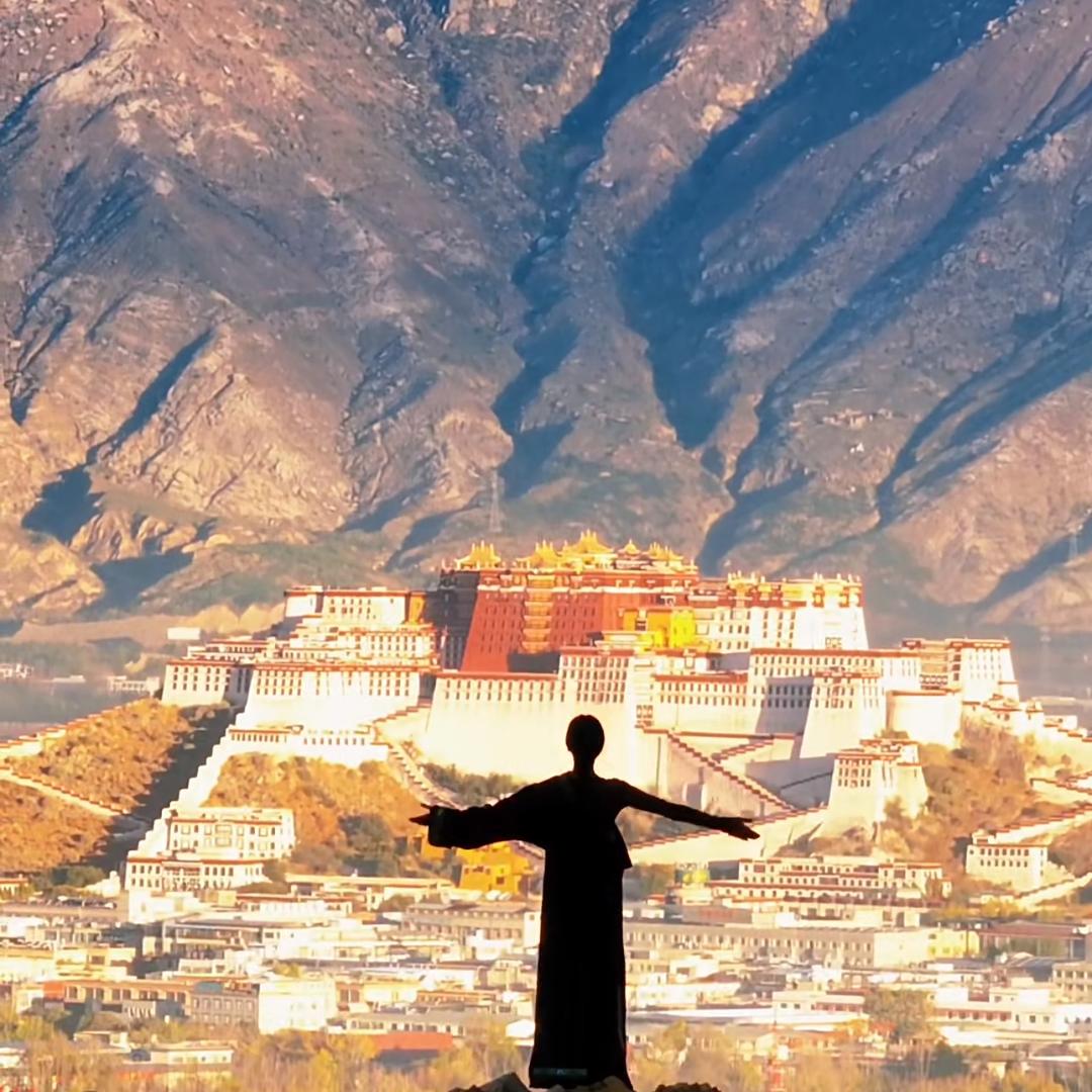 旺彩旺旺