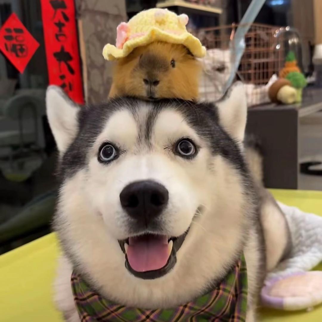 没惹任何人