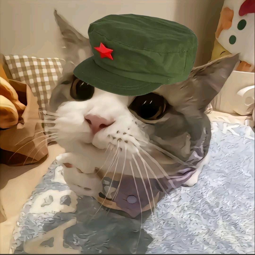 想要学会表达🫡