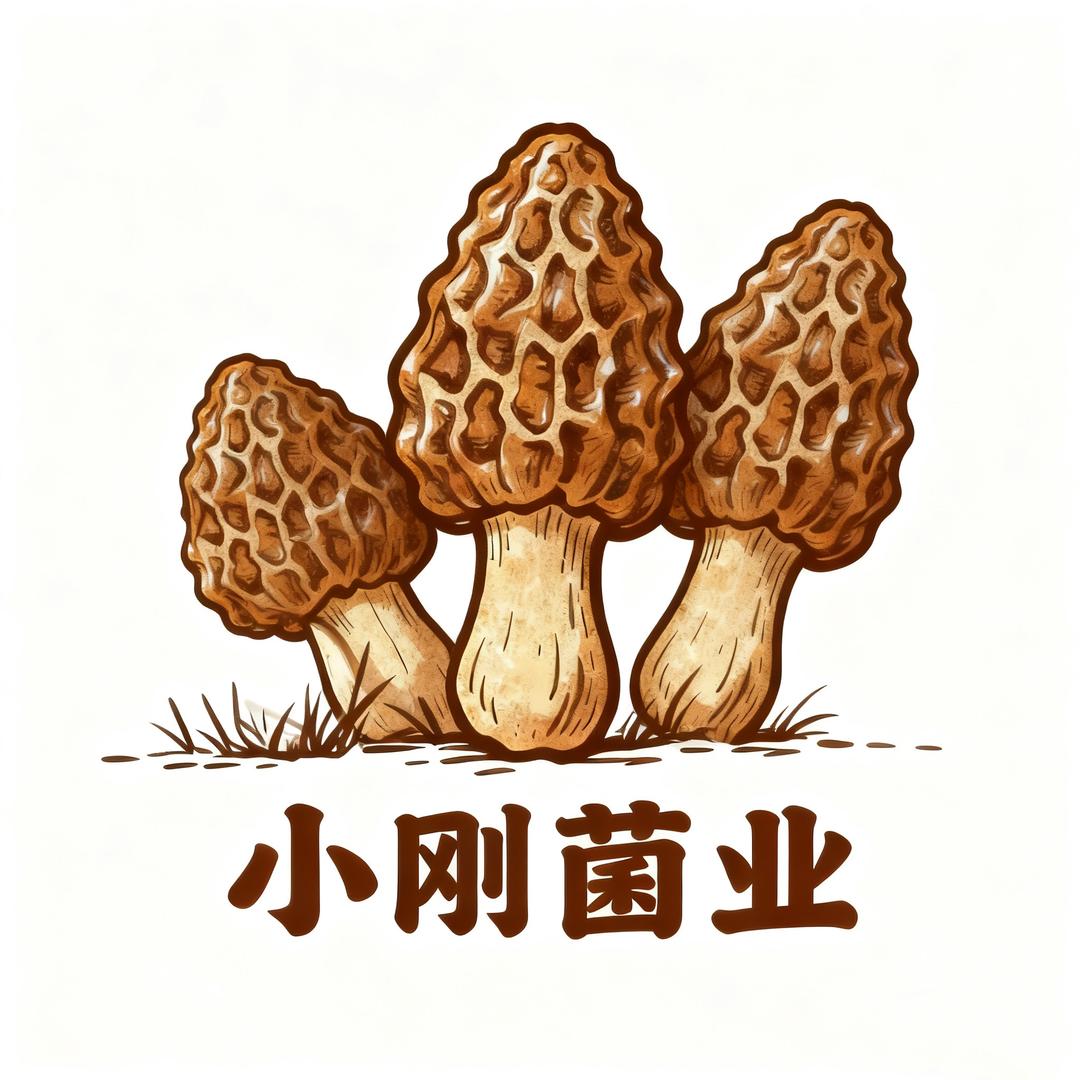 小刚菌业