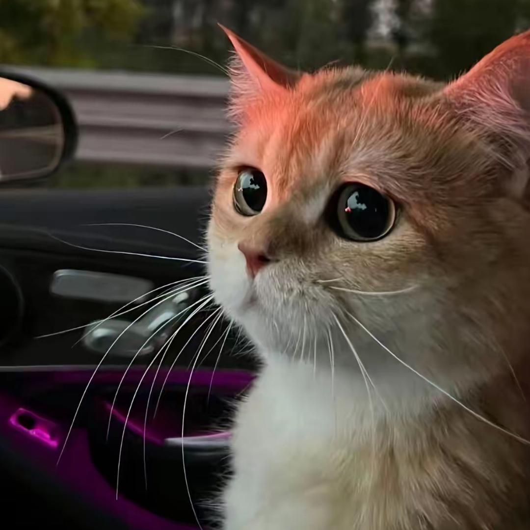 ￴￴ ￴￴ ￴ ￴ ￴￴ ￴ ￴