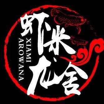 虾米说龙鱼——卡普瓦斯之光