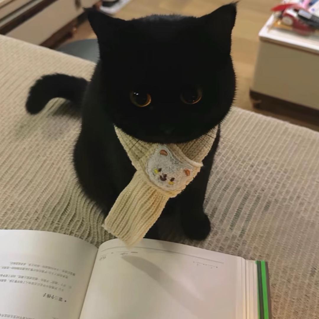 luna ～