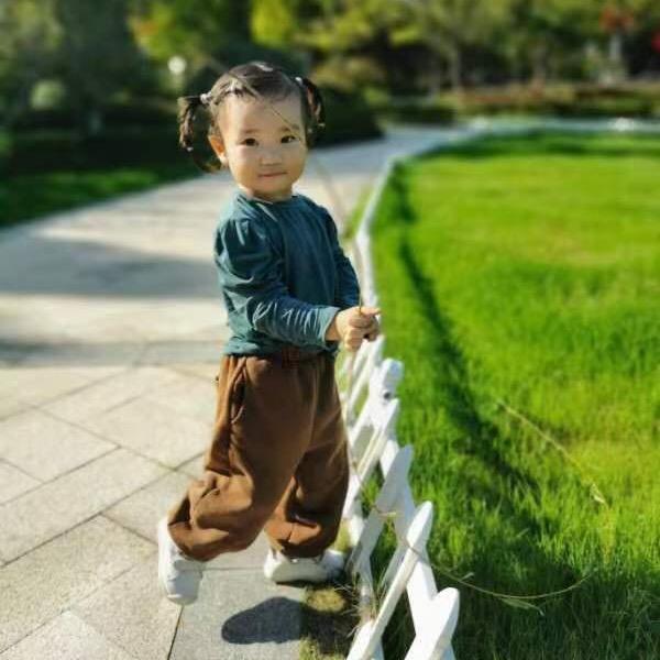 米乐数控山特维克