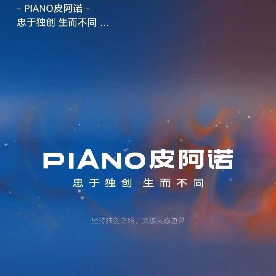 皮阿诺全屋定制(河南济源联洋建材城店)