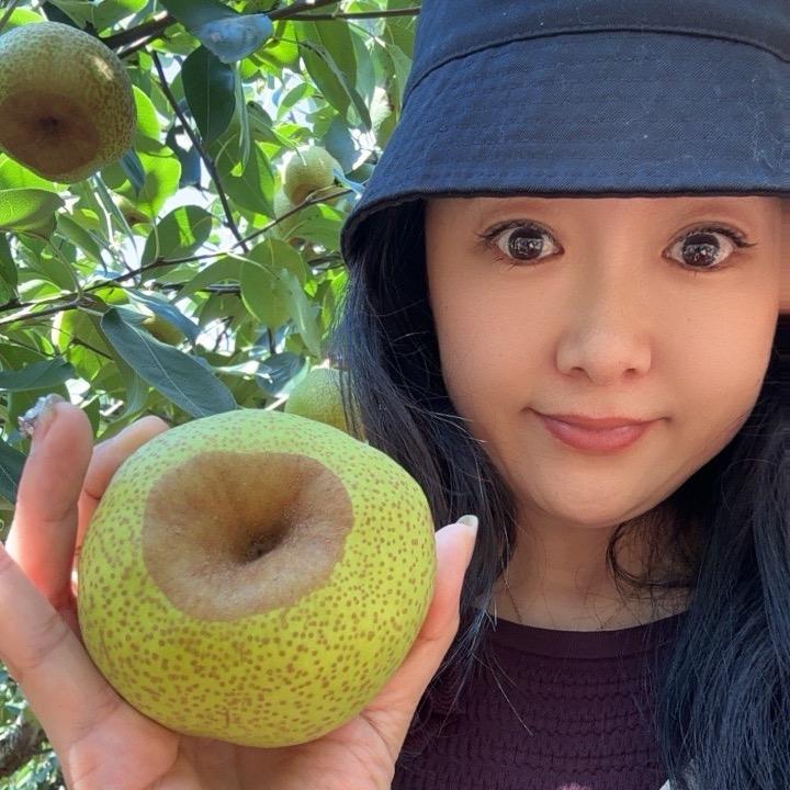 莱阳徐三月（代发可溯源）
