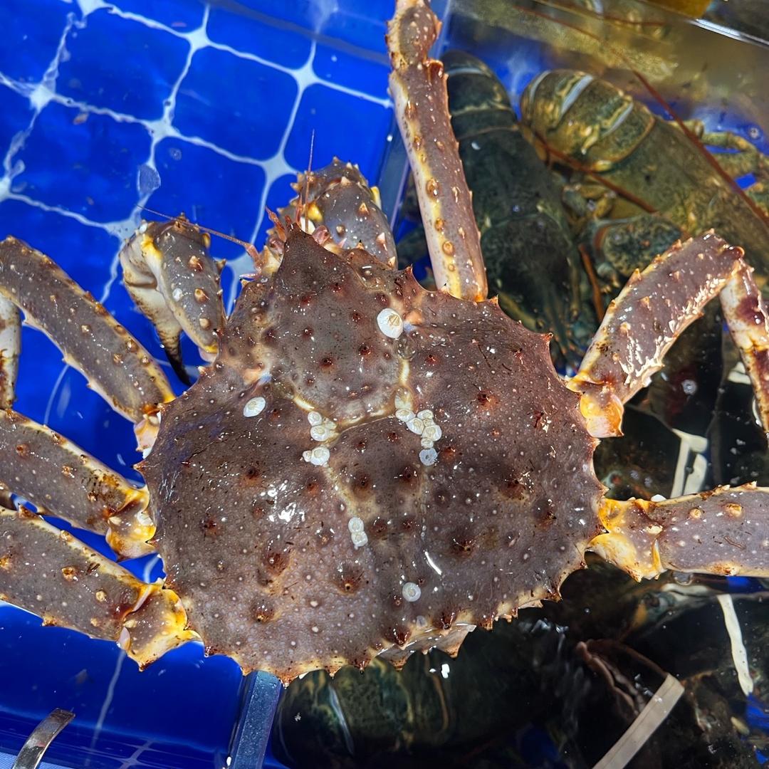家门口海鲜