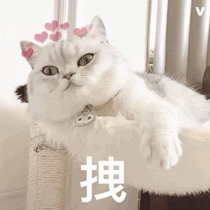 好运连连