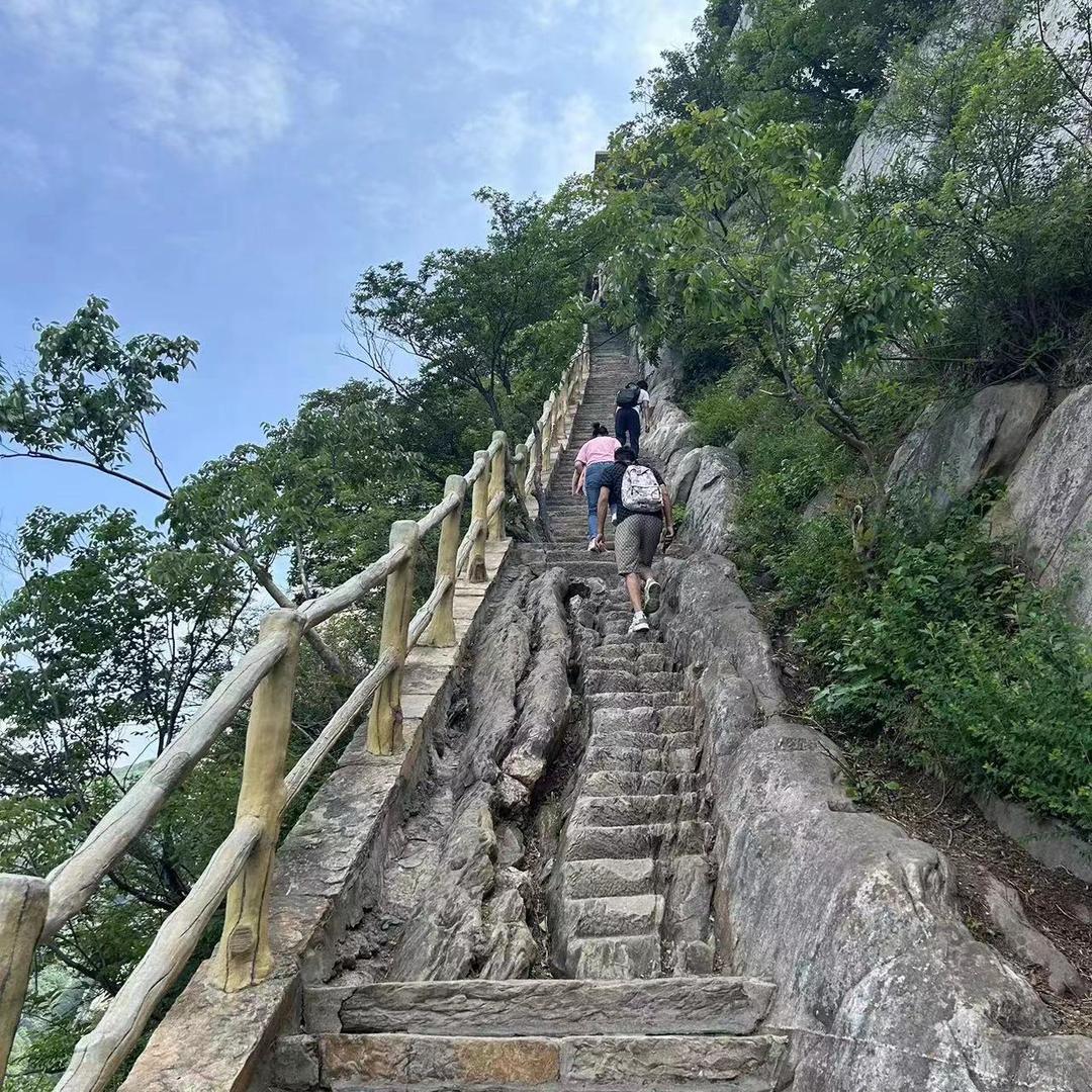 跨区收割机团队