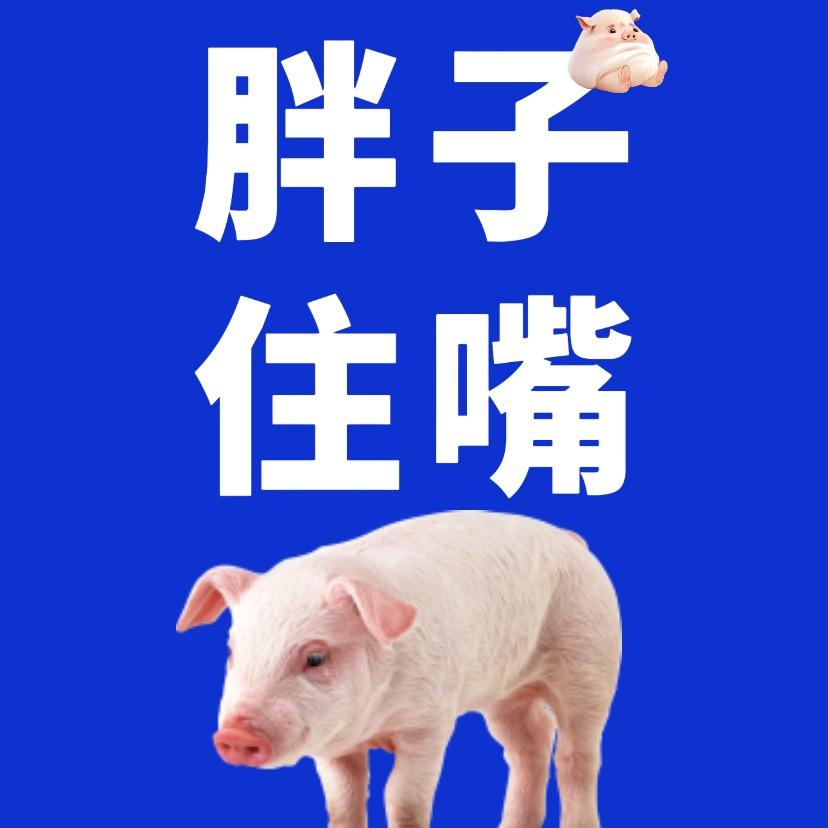 ㅤ ㅤ中国万岁