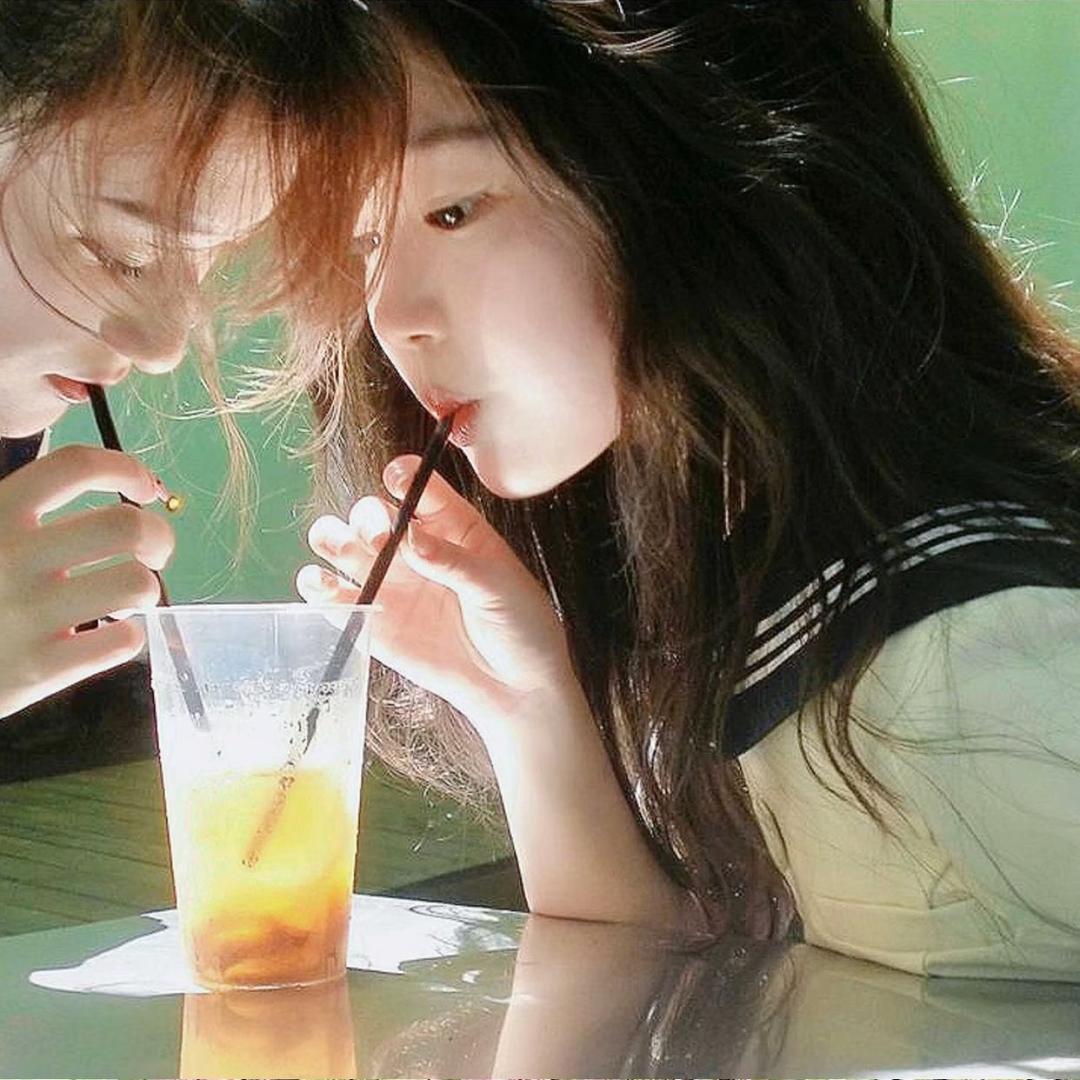 七巷貓