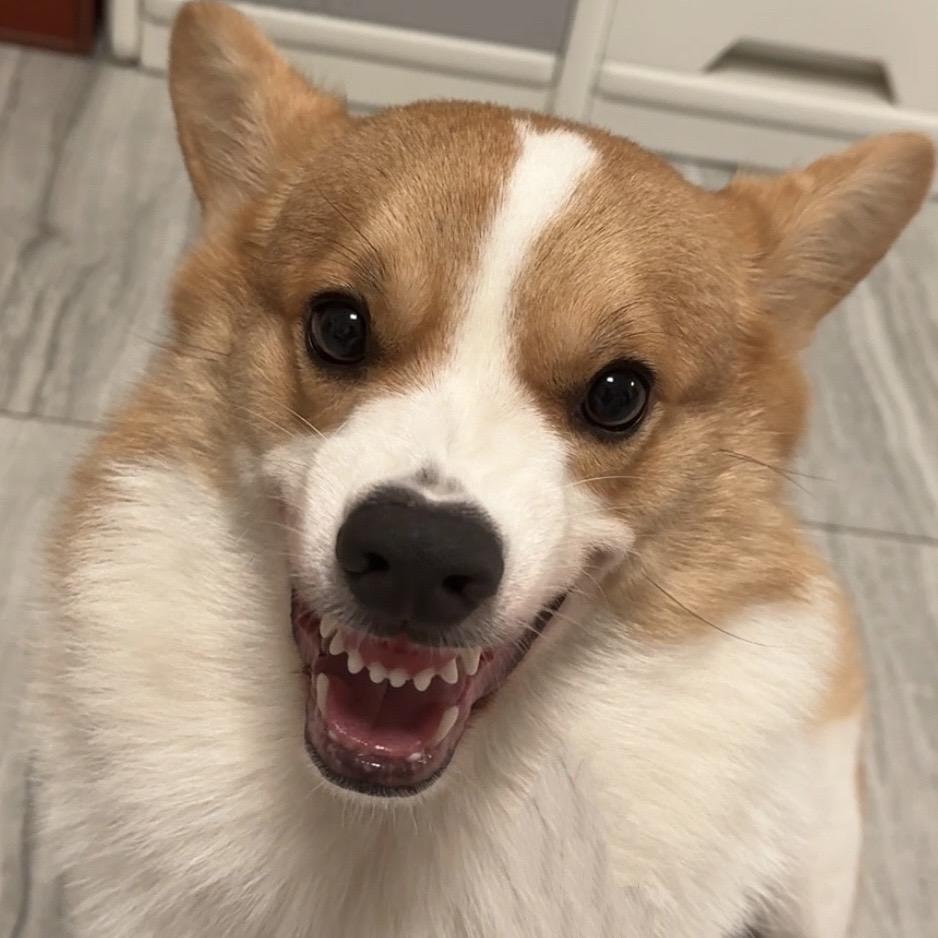 Alan