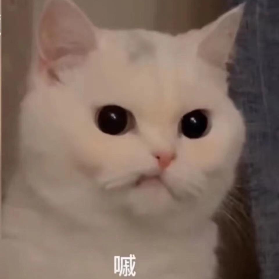 美少女壮士✌️