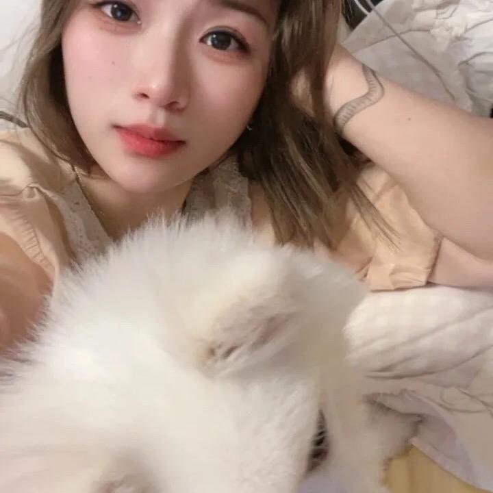 安于现状