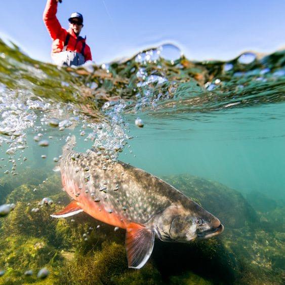 🎣浑水摸🐟