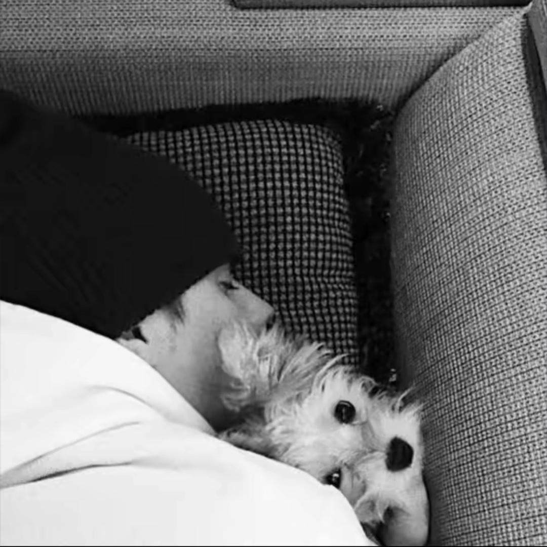 我也曾期待明天