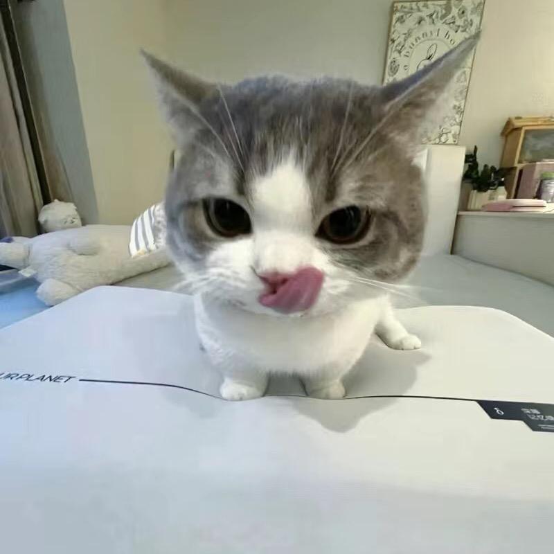 许随