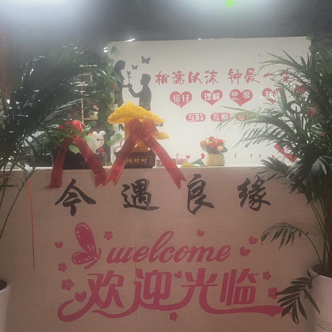 普定县《今遇良缘》