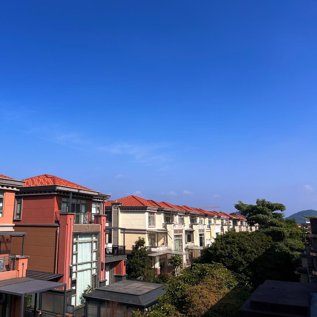 小泉