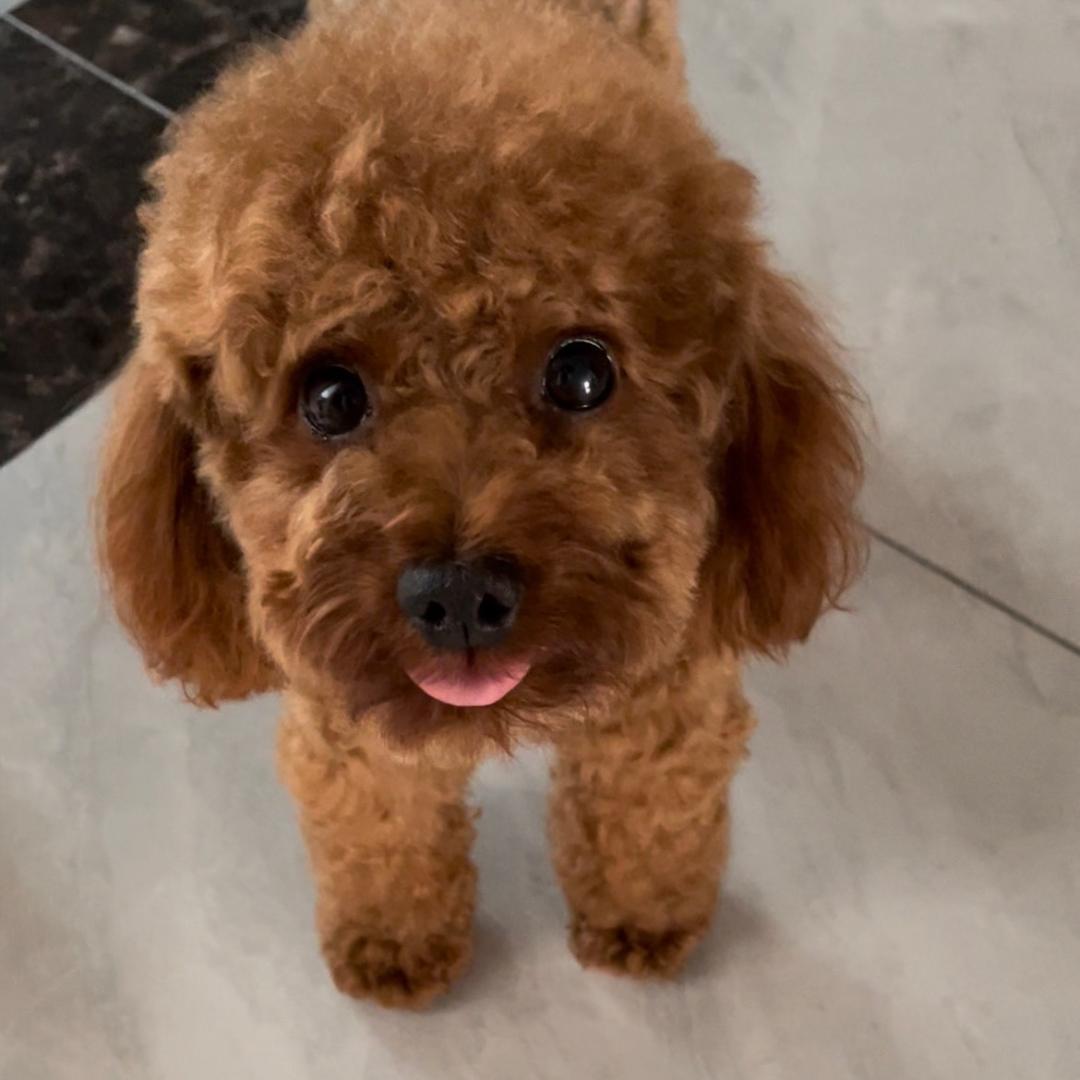 丢丢小可爱