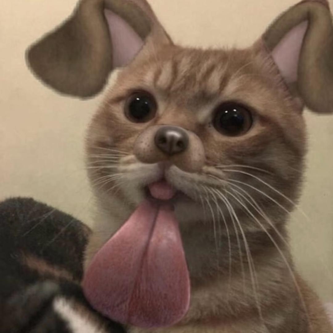 你别管了