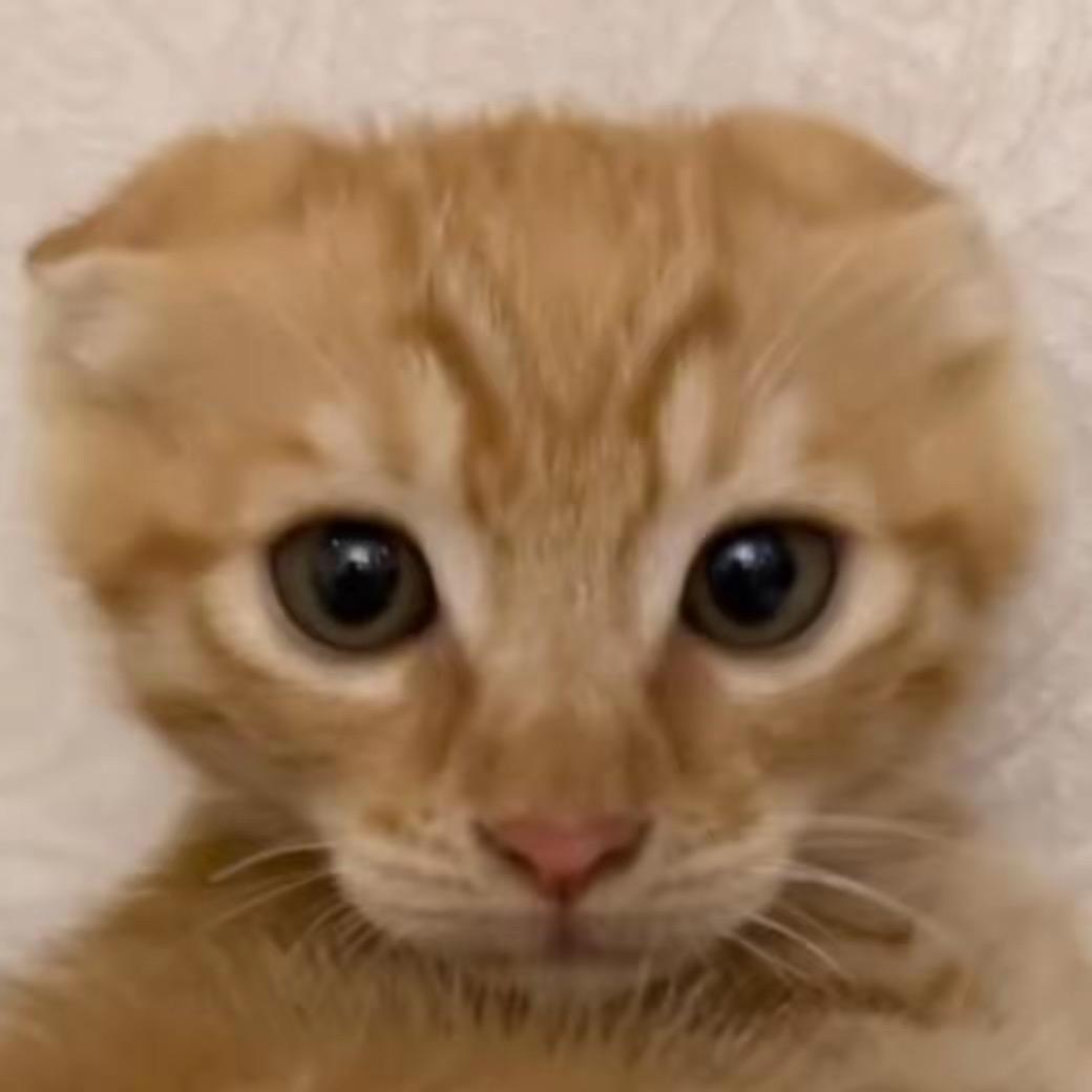 Qqq